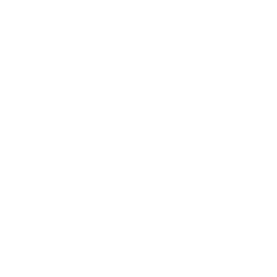 Amani K9